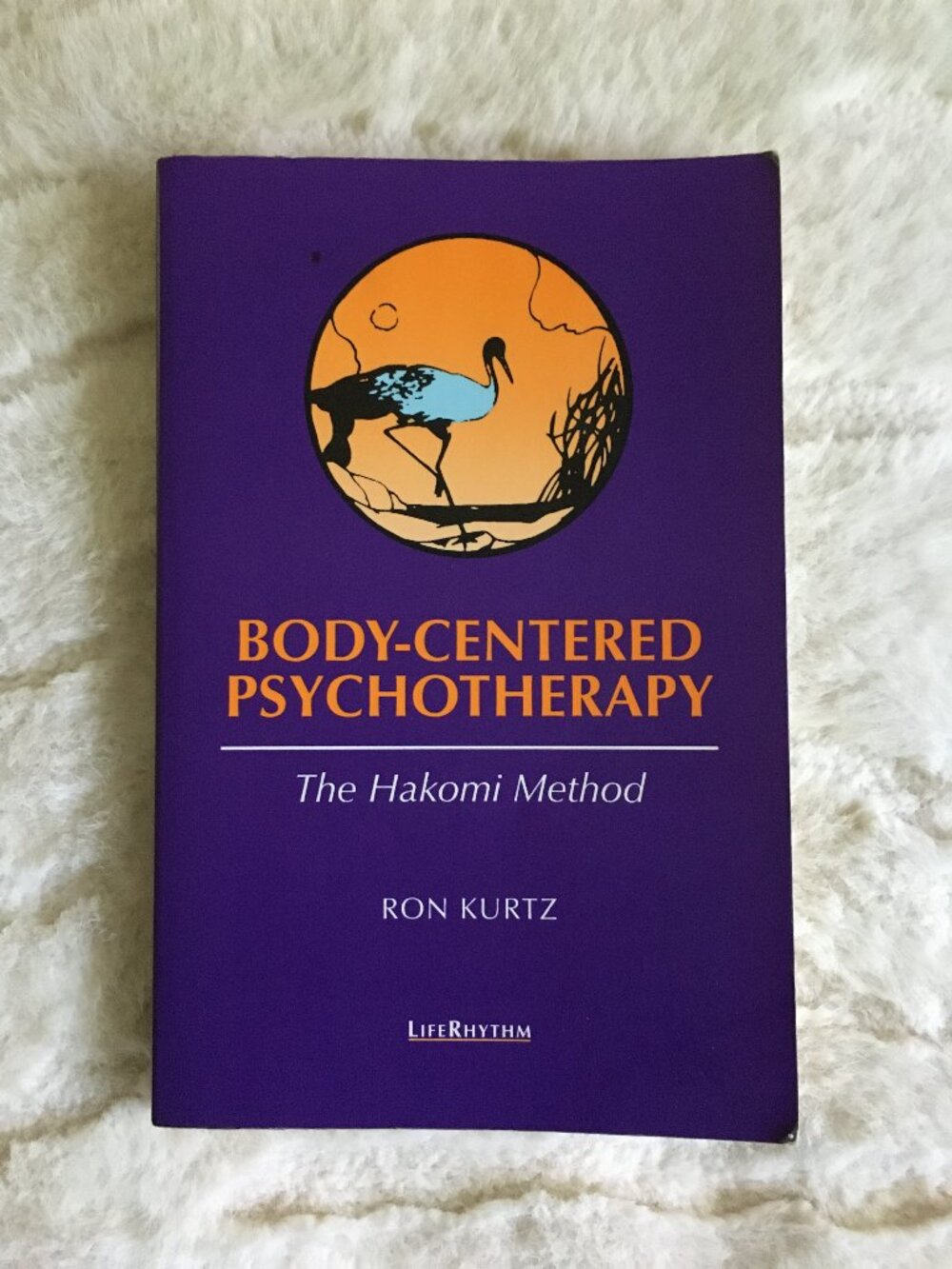 Somatic Psychology Hakomi Method Ron Kurtz Softcover